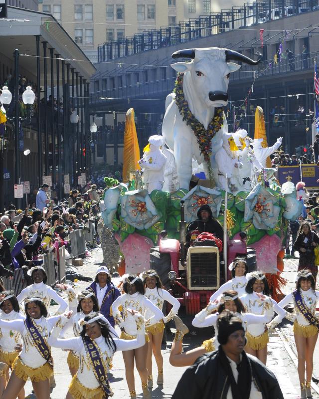 Mardi Gras 2023 Tits 19315