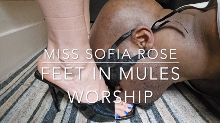 becca sanchez add Sofia Rose Feet photo