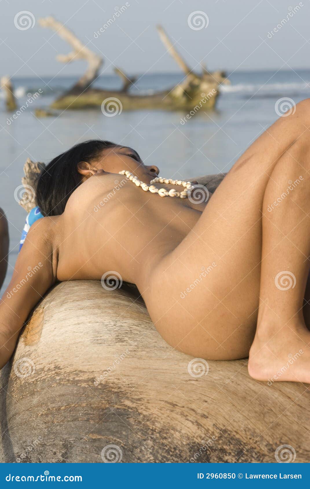 andy collard add Dominican Republic Nude Beach photo