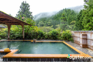 aakash ved add Japanese Hot Spring Voyeur photo