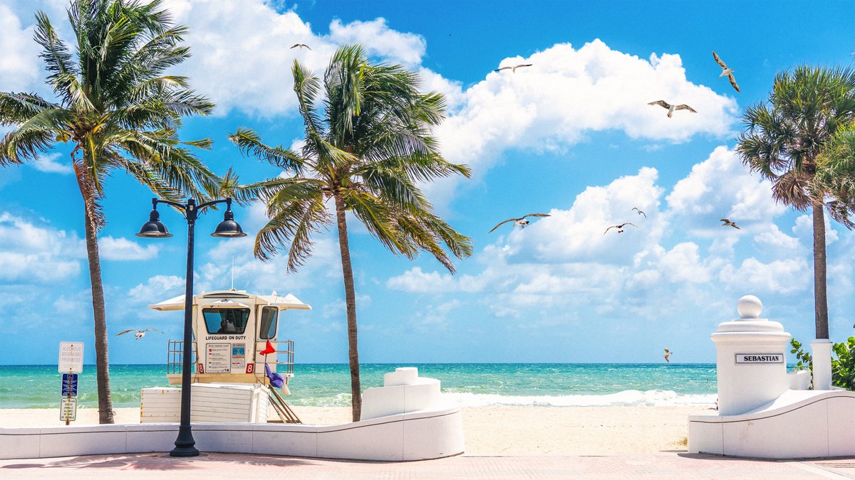 andre antoun add Nude Beach In Ft Lauderdale photo