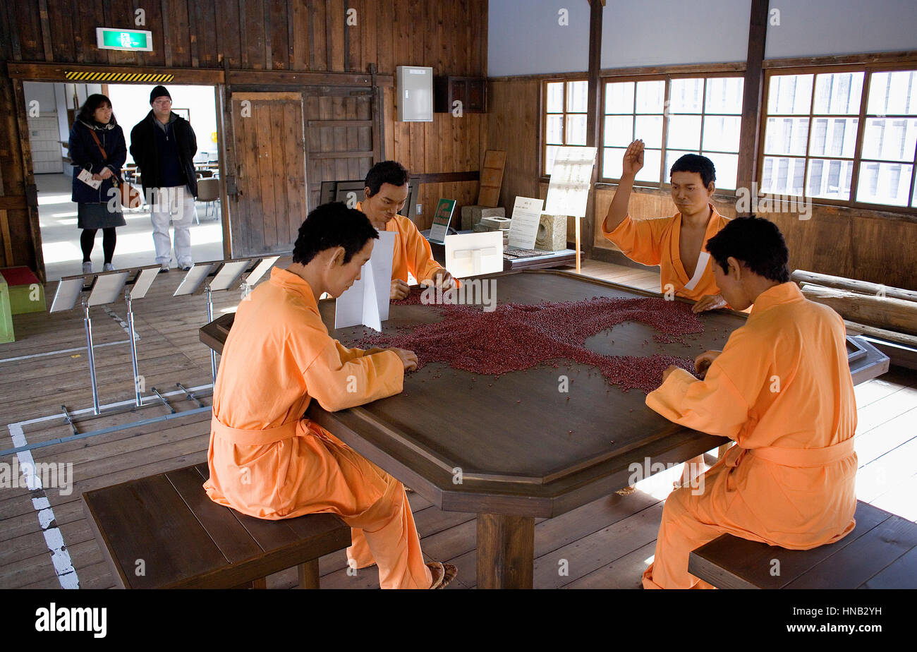 darryl downs add Japan Camgirl Prison photo